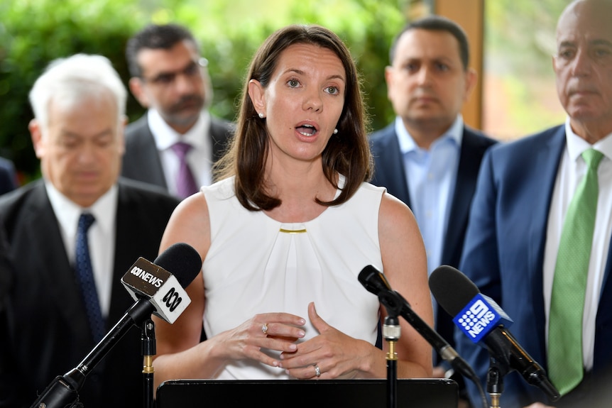 A woman speaks at a media conference as men in suits stand behind her.