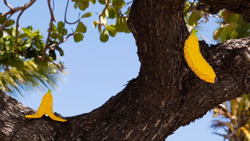 Bananas made of Lego up a tree for an art exhibition
