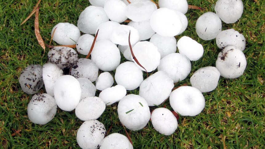 Hailstones that fell at Hillside on the western outskirts of Melbourne.