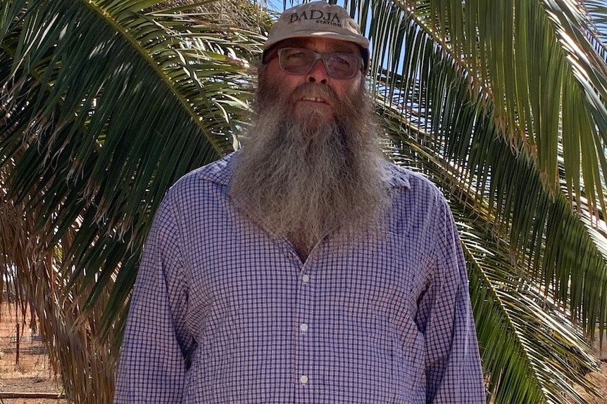 Man with a beard wearing a cap and a checked shirt standing in front of a palm tree