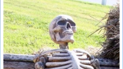 A photo of a skeleton sitting on a park bench, reading "waiting for the Greek house on Dickward Drive to get built".