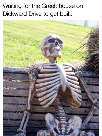 A photo of a skeleton sitting on a park bench, reading "waiting for the Greek house on Dickward Drive to get built".