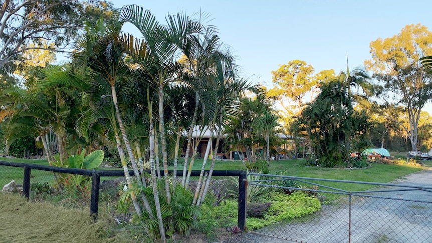 Street view of a house hidden behind palm trees 