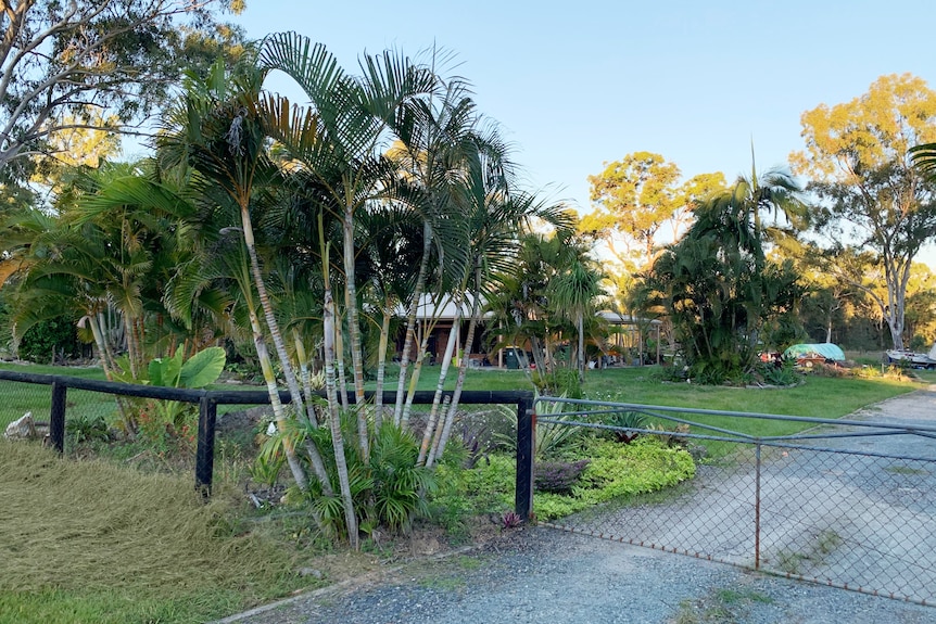 Street view of a house hidden behind palm trees 