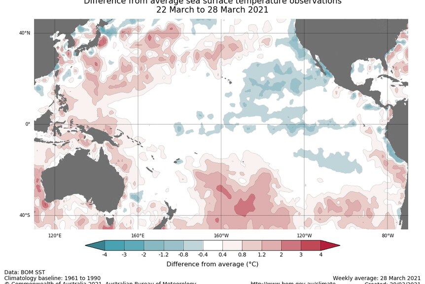 Map showing cool water in the central Pacific surrounded by warm water to the west.