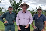 politician posing with farmers in banana paddock