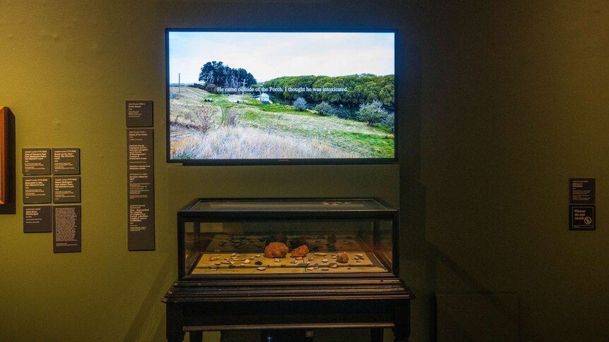 Interior gallery; video screen showing nature scene with cabinet vitrine below.