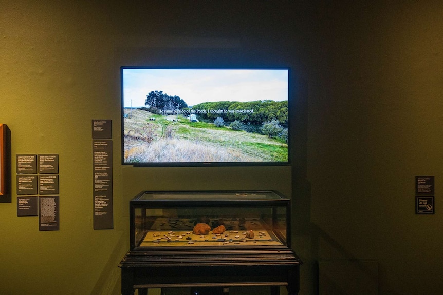 Interior gallery; video screen showing nature scene with cabinet vitrine below.