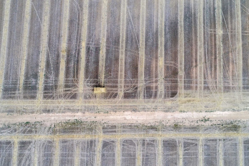 An aerial view of harvested stubble.