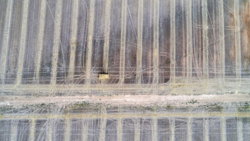 An aerial view of harvested stubble.