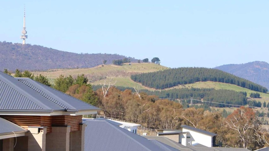 Housing being built in Molonglo with Black Mountain tower behind.
