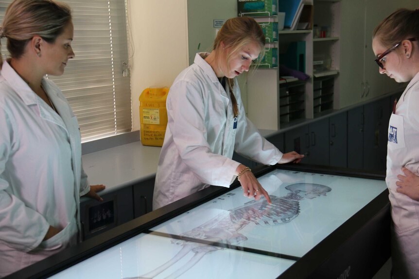 Forensic anthropologist students examine a 3D autopsy table