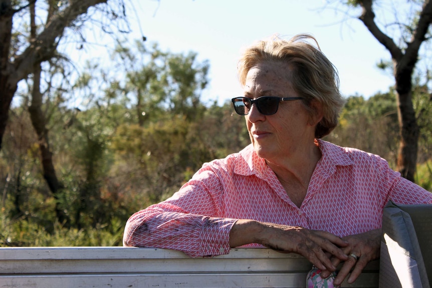 A woman rests on her arms on the back of a ute and looks out to the distance.