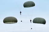 Australian Army paratroopers