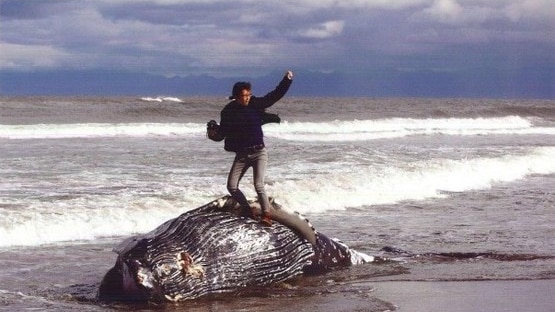 A man standing on top of a beached whale giving a fist pump
