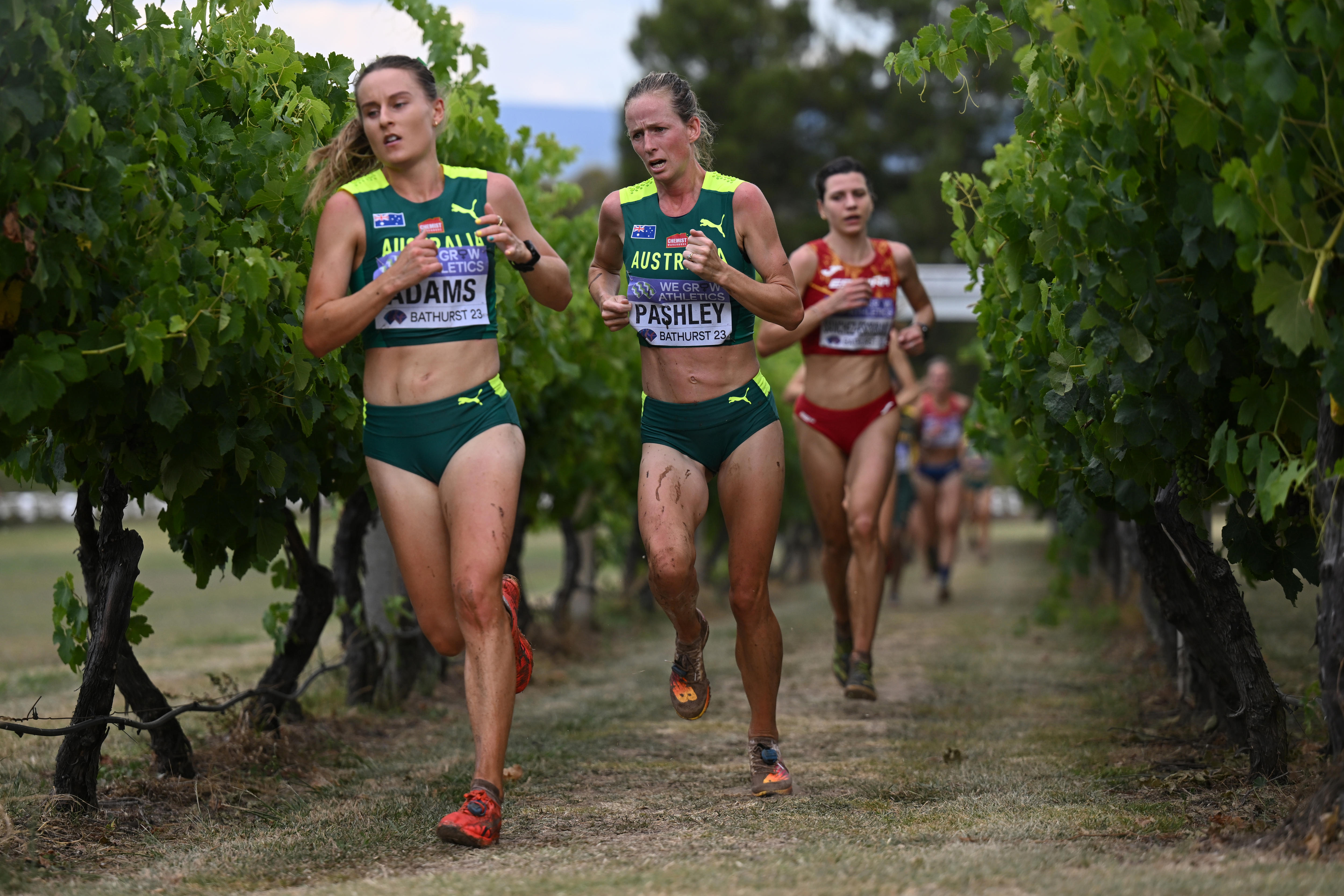Ellie Pashley correndo cross country.
