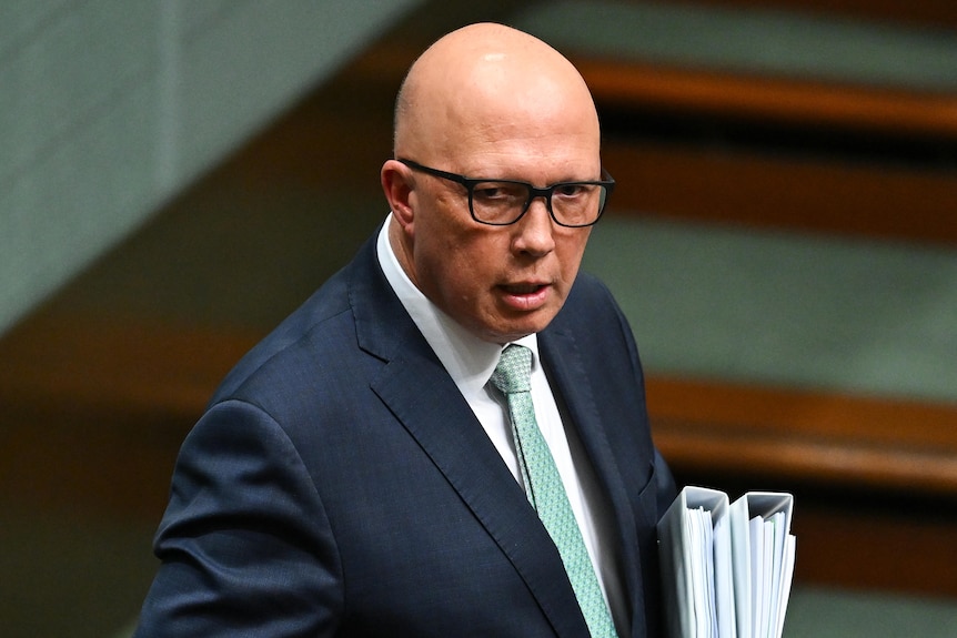 Peter Dutton in the House of Representatives. 