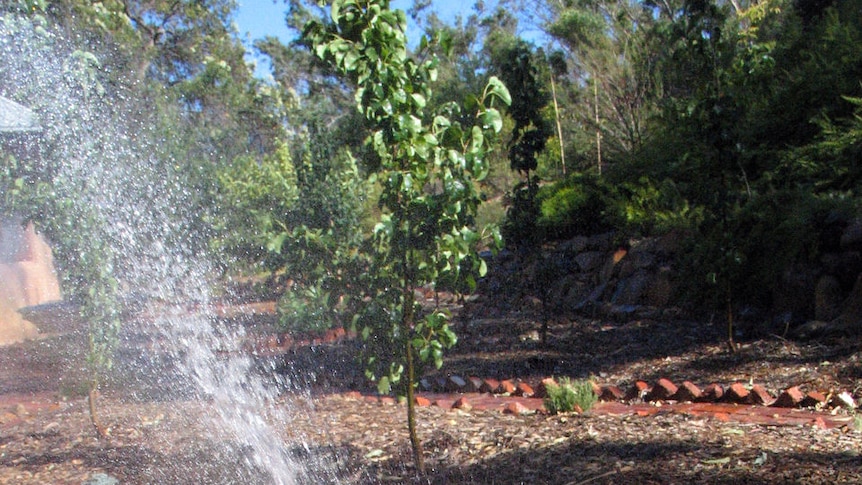 Using sprinklers in winter will be banned from the start of June.