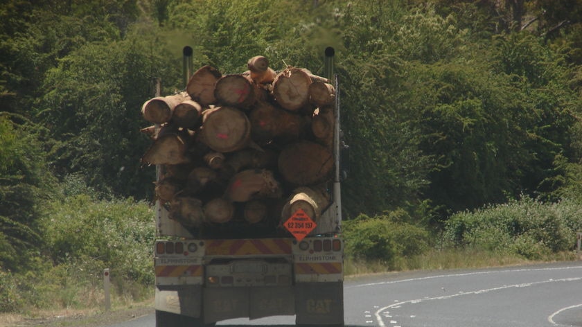 Back of log truck Tasmania