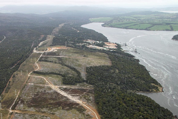 Earthworks are continuing at Gunns' Bell Bay pulp mill site despite a legal cloud over the validity of its construction permit.
