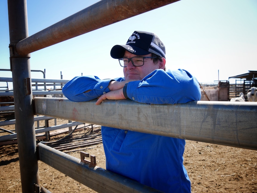Image of a man wearing a blue work shirt and cap, he's leaning on a cattle run and starting off into the distance.