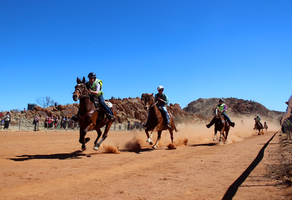 Jockeys ride down a dusty racetrack aboard horses.