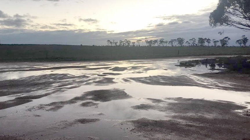 A flooded paddock in North Nungarin