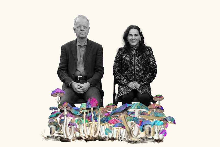 A collage of a dozens of multi-coloured mushrooms in front of the feet of Peter and Tania who are pictured sitting.
