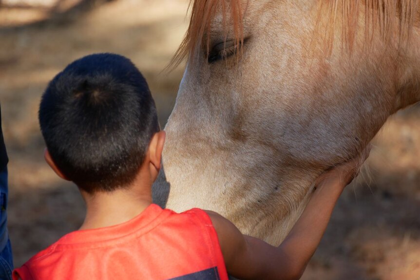 A young child pats a horse.
