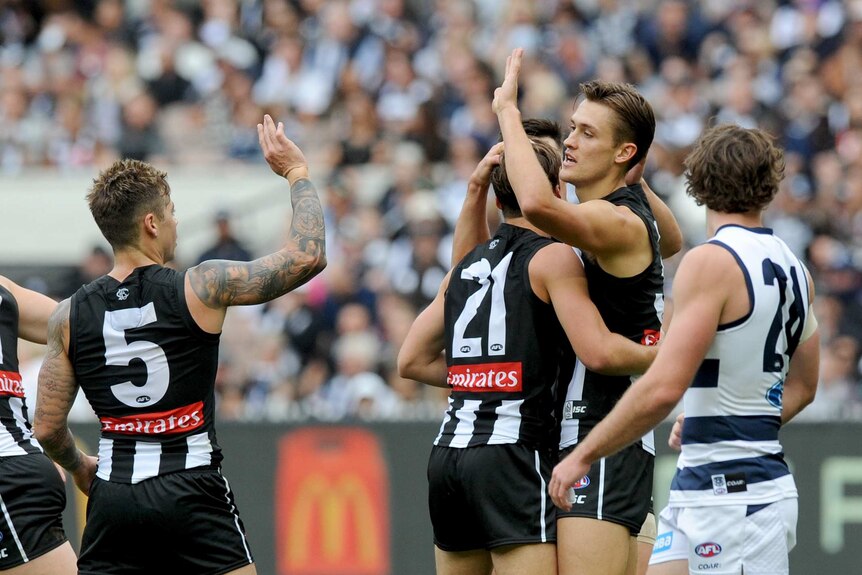 Collingwood's Darcy Moore (2nd R) is congratulated by team-mates after his goal against Geelong.