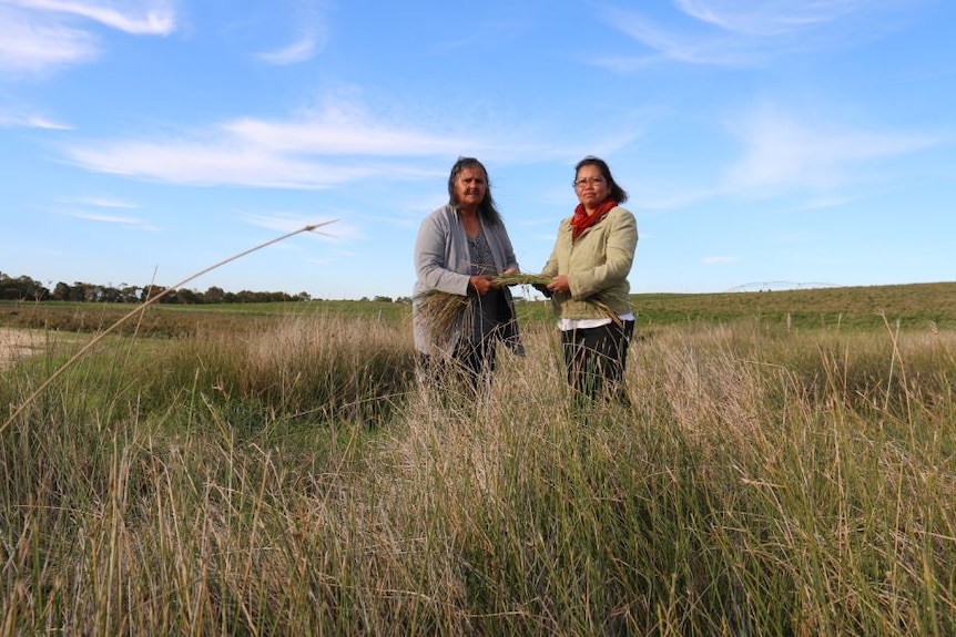 Ngarrindjeri Elder Ellen Trevorrow and her friend Jelina Haines pick rushes around the Lower Lakes and Coorong.