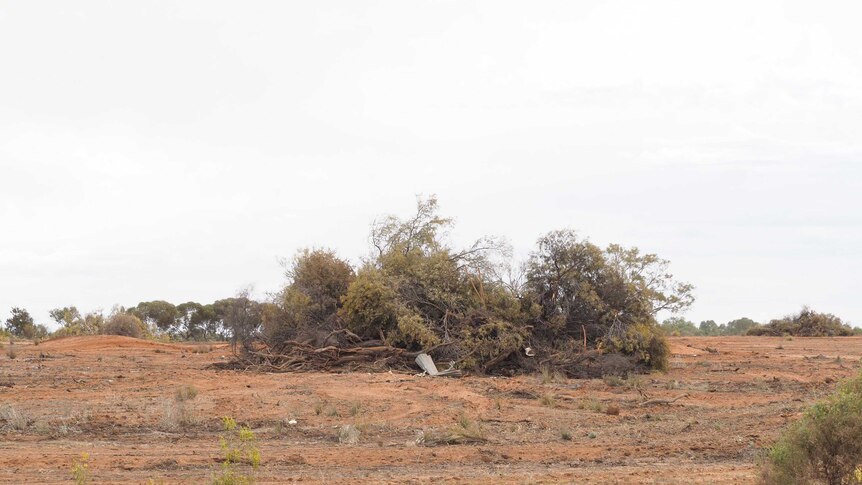 A property where Mallee scrub has been cleared at Trentham Cliffs.