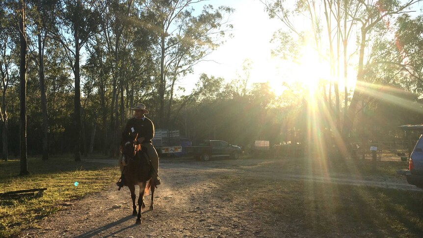 The sun shines through trees in the background as a lone rider and horse walk towards the camera in the foreground.