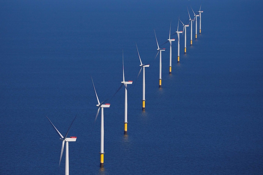 A long line of wind turbines in the middle of the ocean.