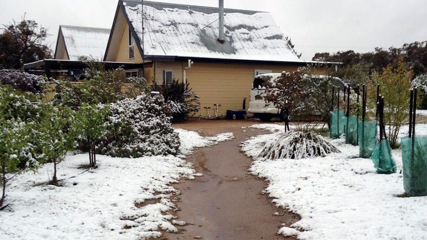 Parts of eastern Australia woke to a snow-covered landscape due to a low pressure system off NSW.