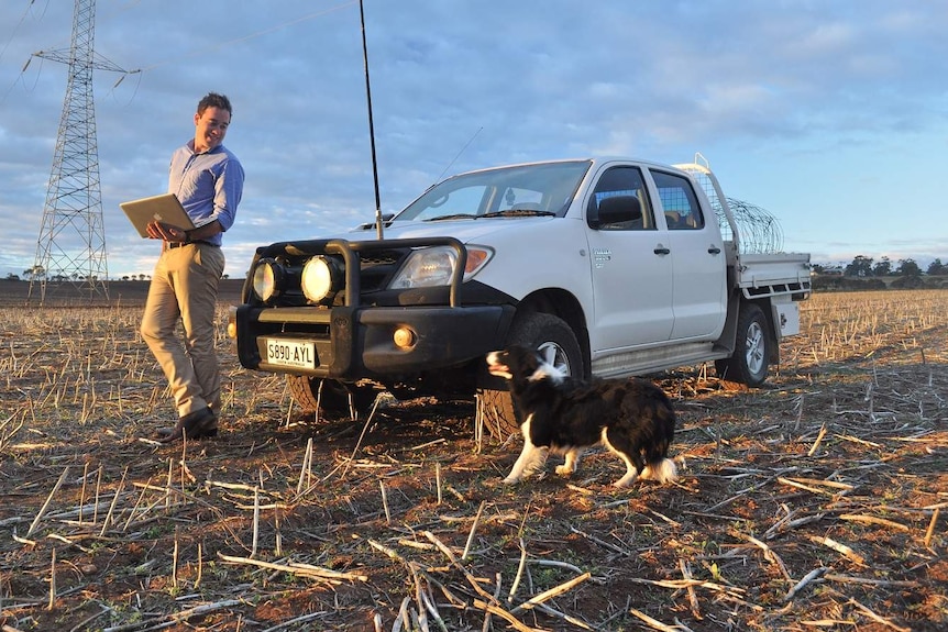 A man with a laptop open stands next to a ute and a dog on a farm.