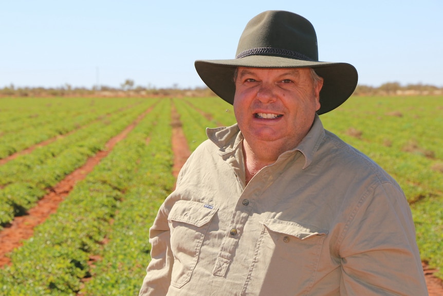 A farmer is holding unprocessed peanuts in his hands.