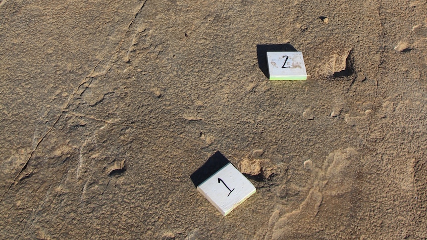 Numbered tiles sit next to a series tiny dinosaur footprints imprinted in rock.