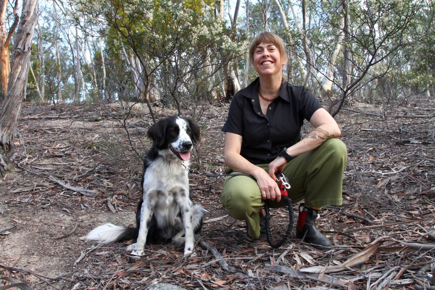 Landscape photo of a young woman crouching down in bushland with her working dog Zorro