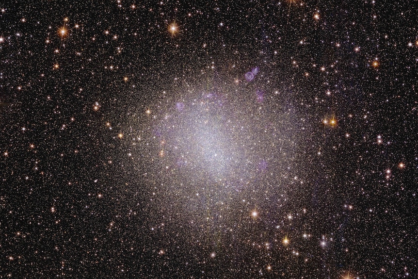 Euclid_s_view_of_irregular_galaxy_NGC_6822