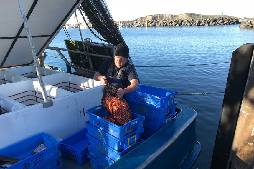 Unloading prawn catch