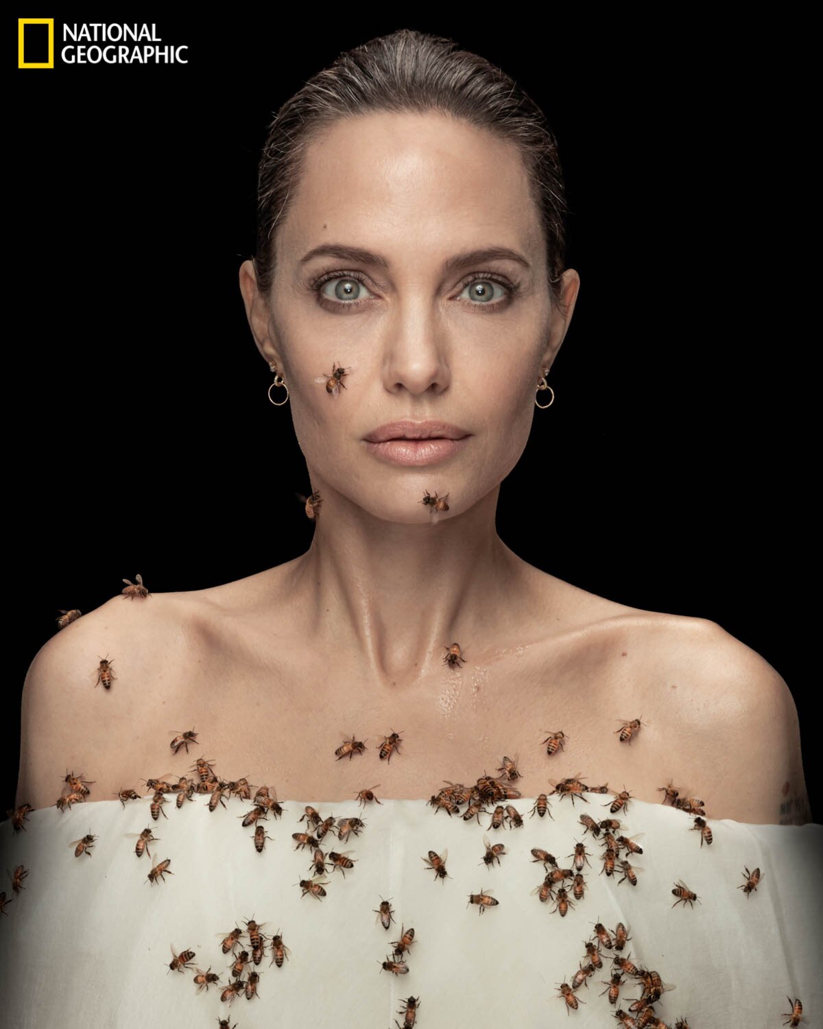 Angelina Jolie poses covered in bees for National Geographic - ABC News