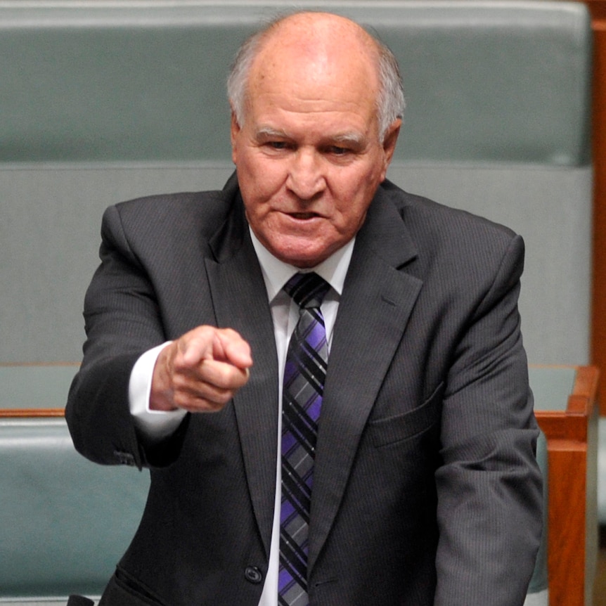 Independent MP Tony Windsor gestures as he speaks in Parliament