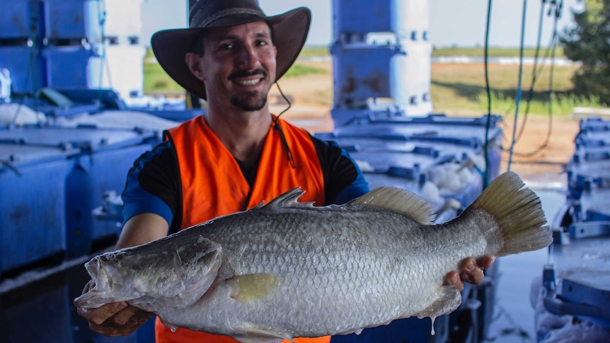 a barramundi being held by a man in a hat.