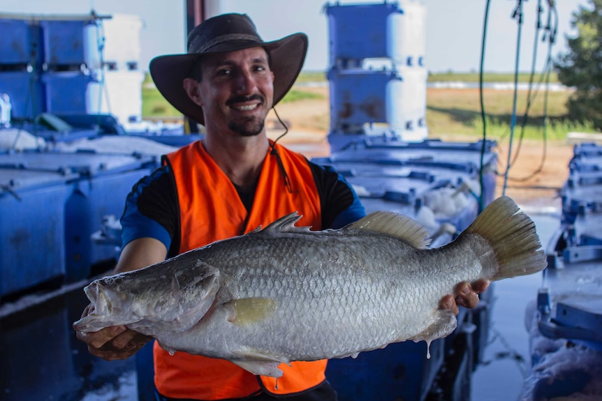 a barramundi being held by a man in a hat.