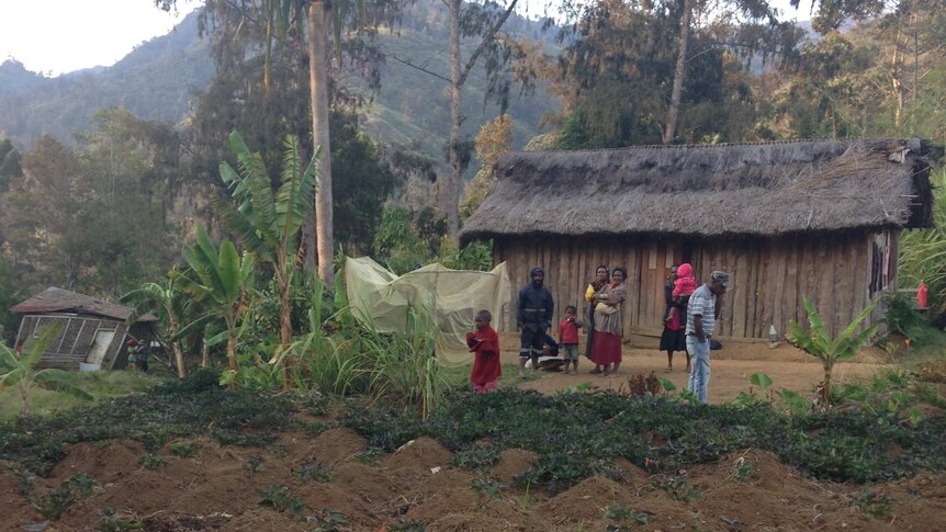 Dry soil food garden in Parua