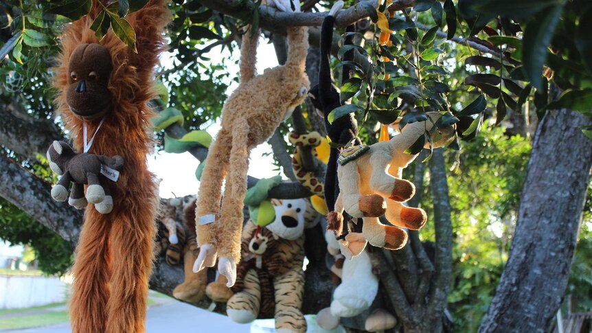 Toys in the tree