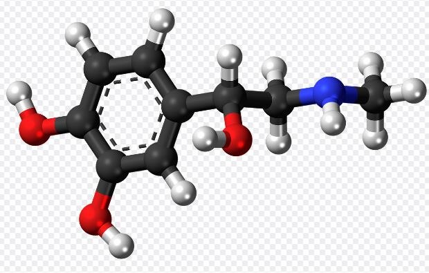 How much do you understand about your hormones? - ABC listen