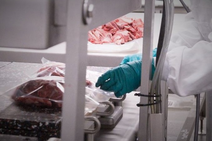 Gloved human hands attend to meat processing conveyor line.