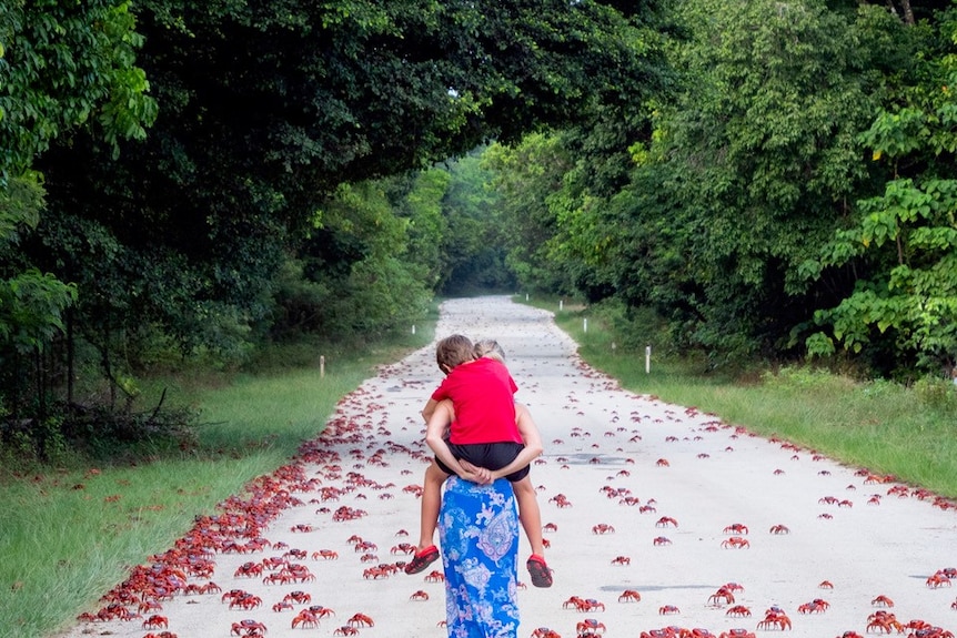 Christmas Island crab migration 2020